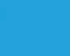 FLOCAGE LOGO Mono-couleur <10cm Référence Couleur Flocage : Bleu Atoll E118