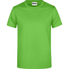 T-shirt Homme James Nicholson 1 Couleur : Vert Pomme (605)